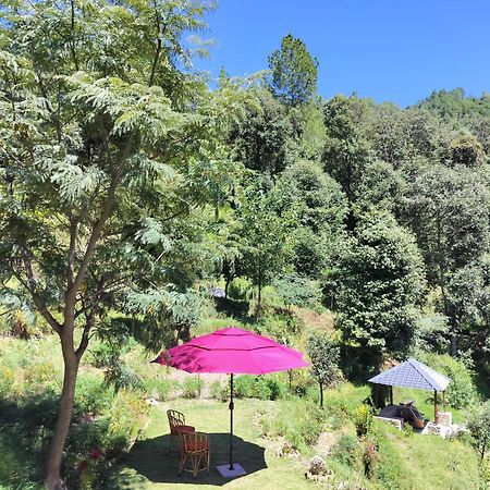Francolin Lodge-Farmstay @ Darima マックトシュワー エクステリア 写真