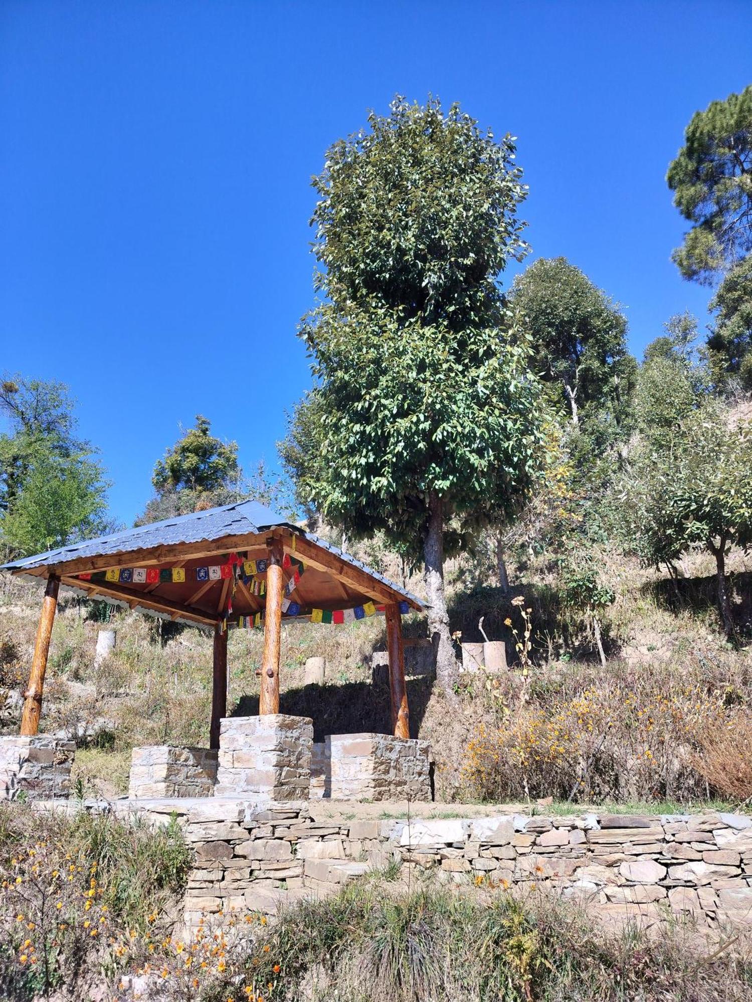 Francolin Lodge-Farmstay @ Darima マックトシュワー エクステリア 写真